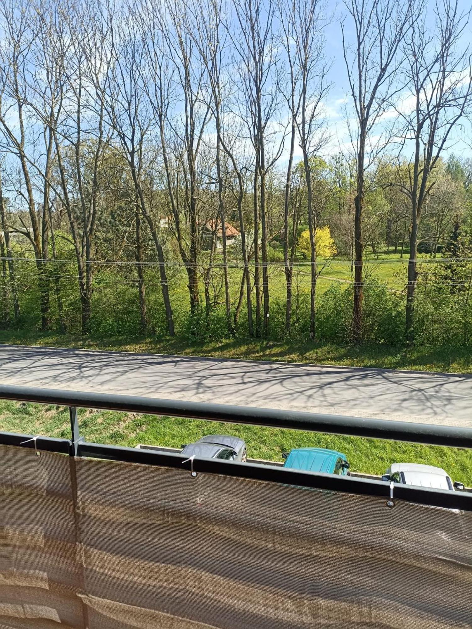 Apartament Aleja Lipowa Gorki Wielkie Dış mekan fotoğraf